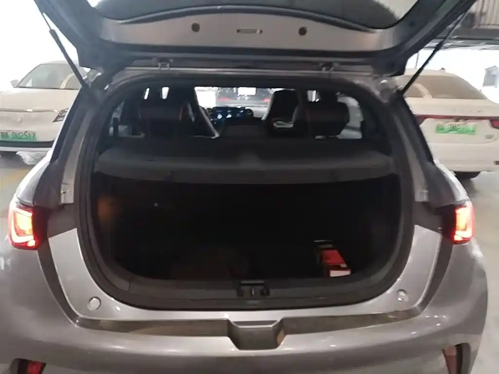 BYD Dolphin 2021 Model 405km Fashion Edition фото 19