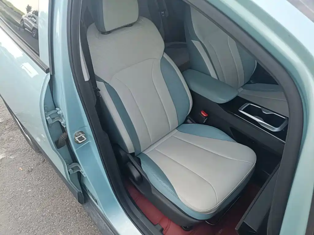 Geely Geometry E Firefly 2023 2024 Model 301km Starlight