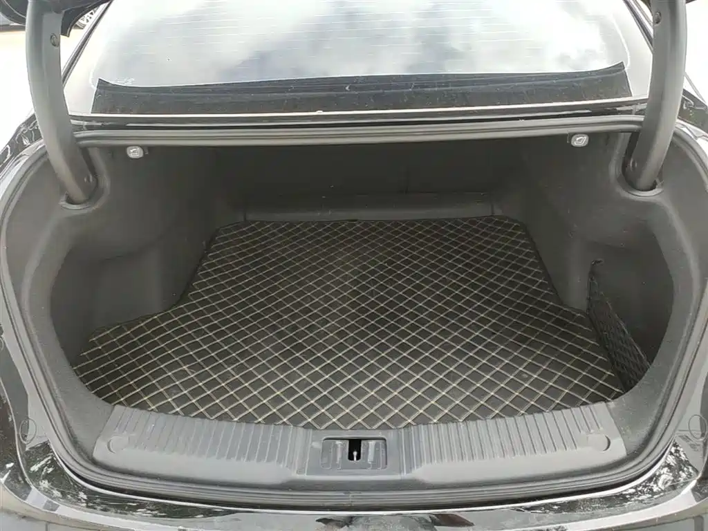 Hongqi H5 2024 2.0T Automatic Smart Connect Flag Smooth Edition фото 19