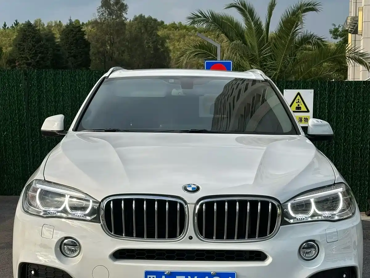 BMW X5 (Import) 2018 xDrive35i Premium Model фото 2