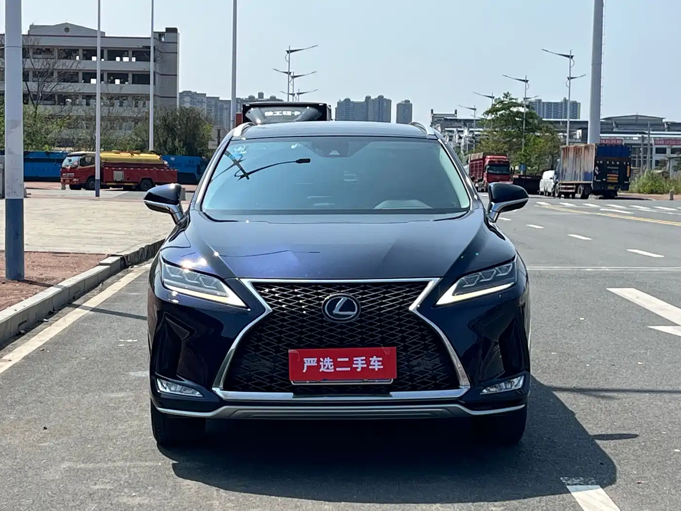 Lexus RX 2020 300 4WD Elegance Edition China VI фото 2