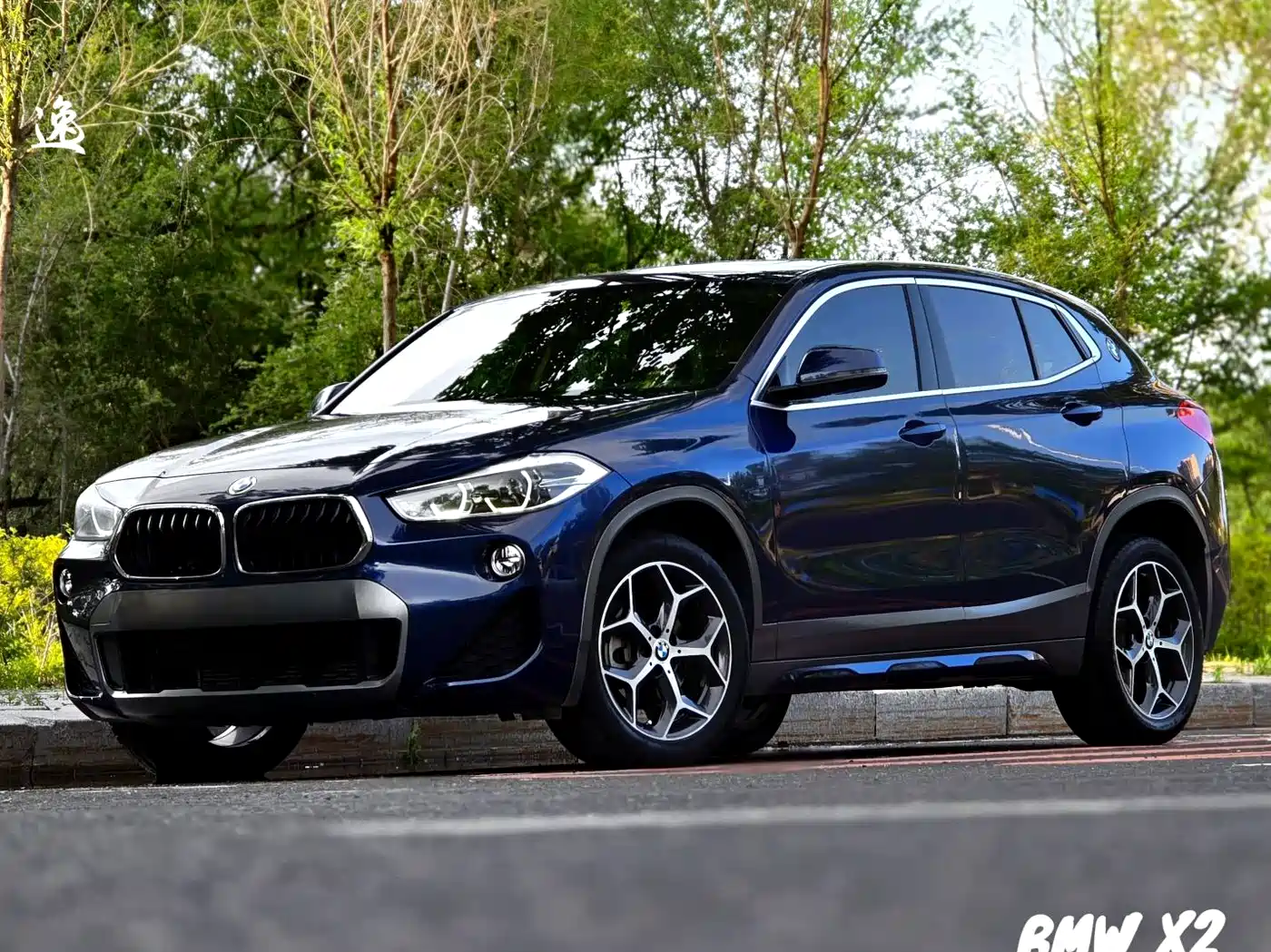  BMW BMW X2 (Import) 2019 sDrive20i M Off-Road Package China VI