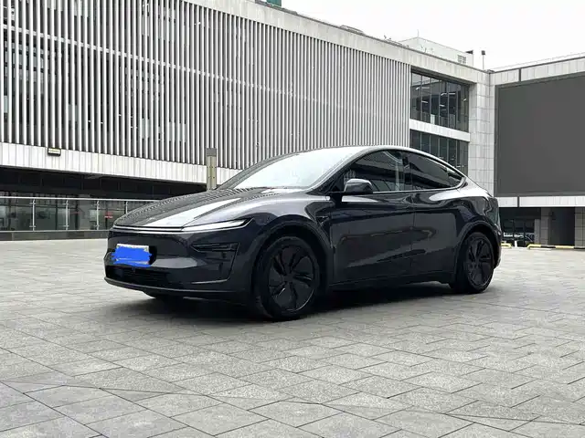 Tesla Model Y 2024 Rear-Wheel Drive Version