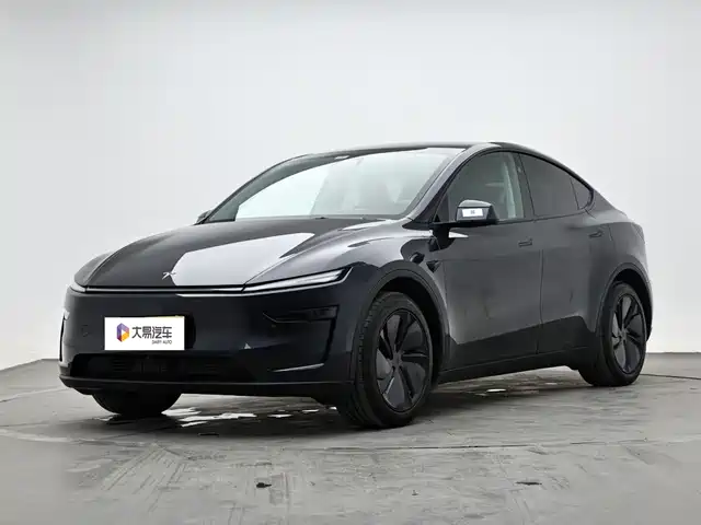 Tesla Model Y Задний привод