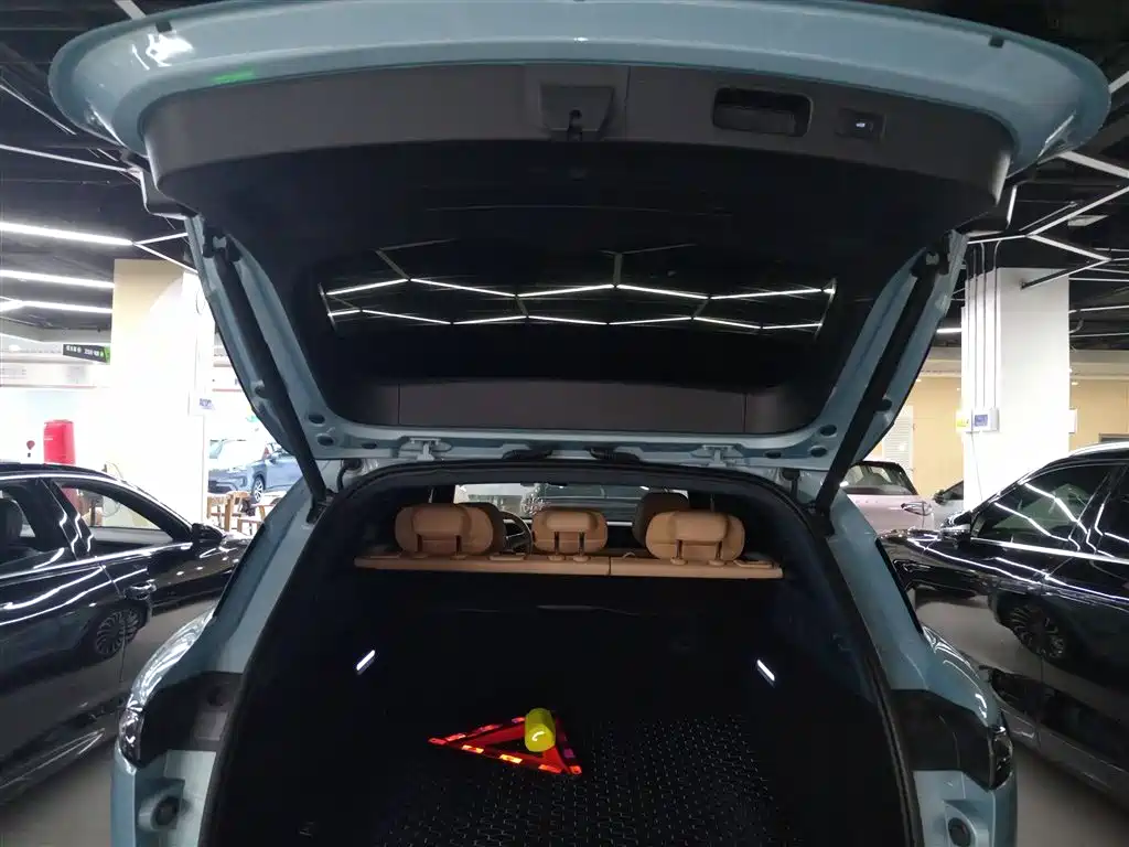 Voyah Auto VOYAH FREE 2021 AWD Standard Range Extender Exclusive Luxury Package фото 9