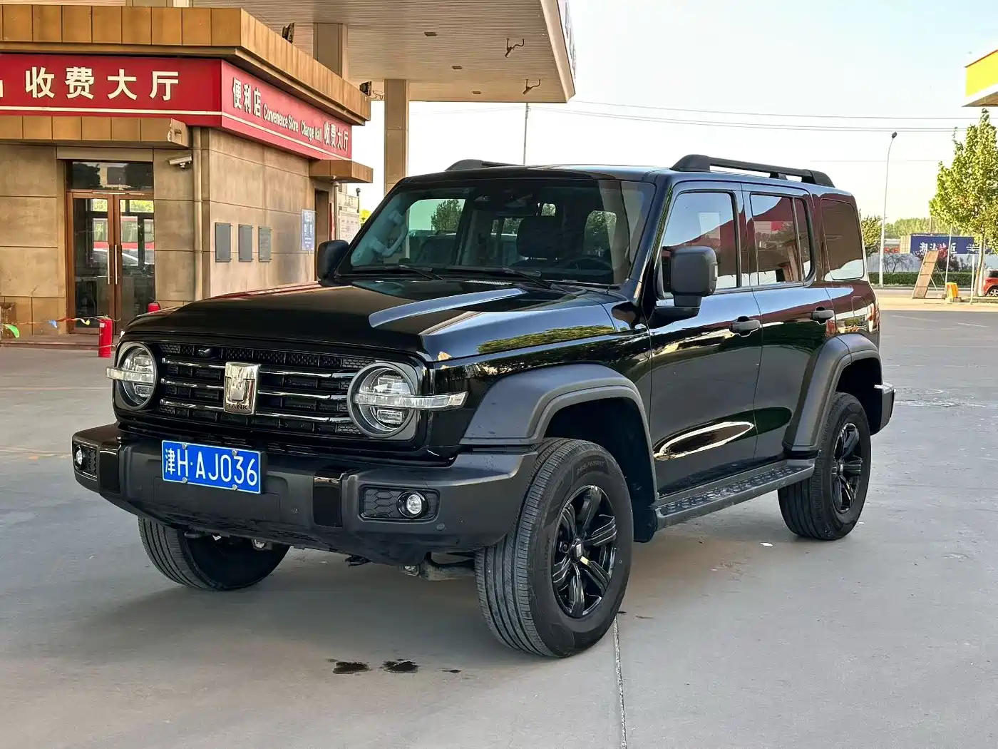 Tank 300 2021 Off-road Version 2.0T Conqueror