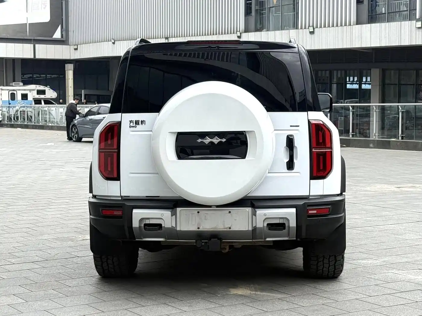 FANG CHENG BAO LEOPARD 5