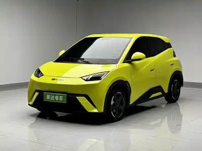BYD Seagull