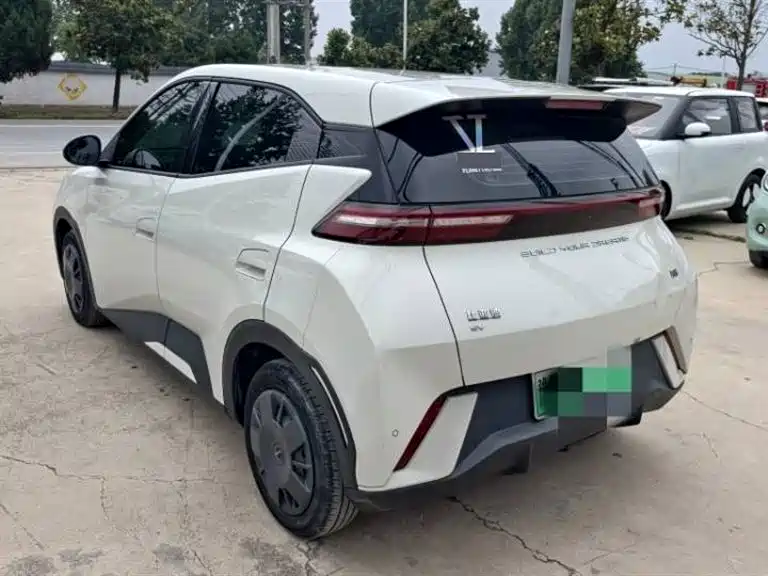 BYD Seagull 2024 Glory Edition 305km Vitality Edition фото 6