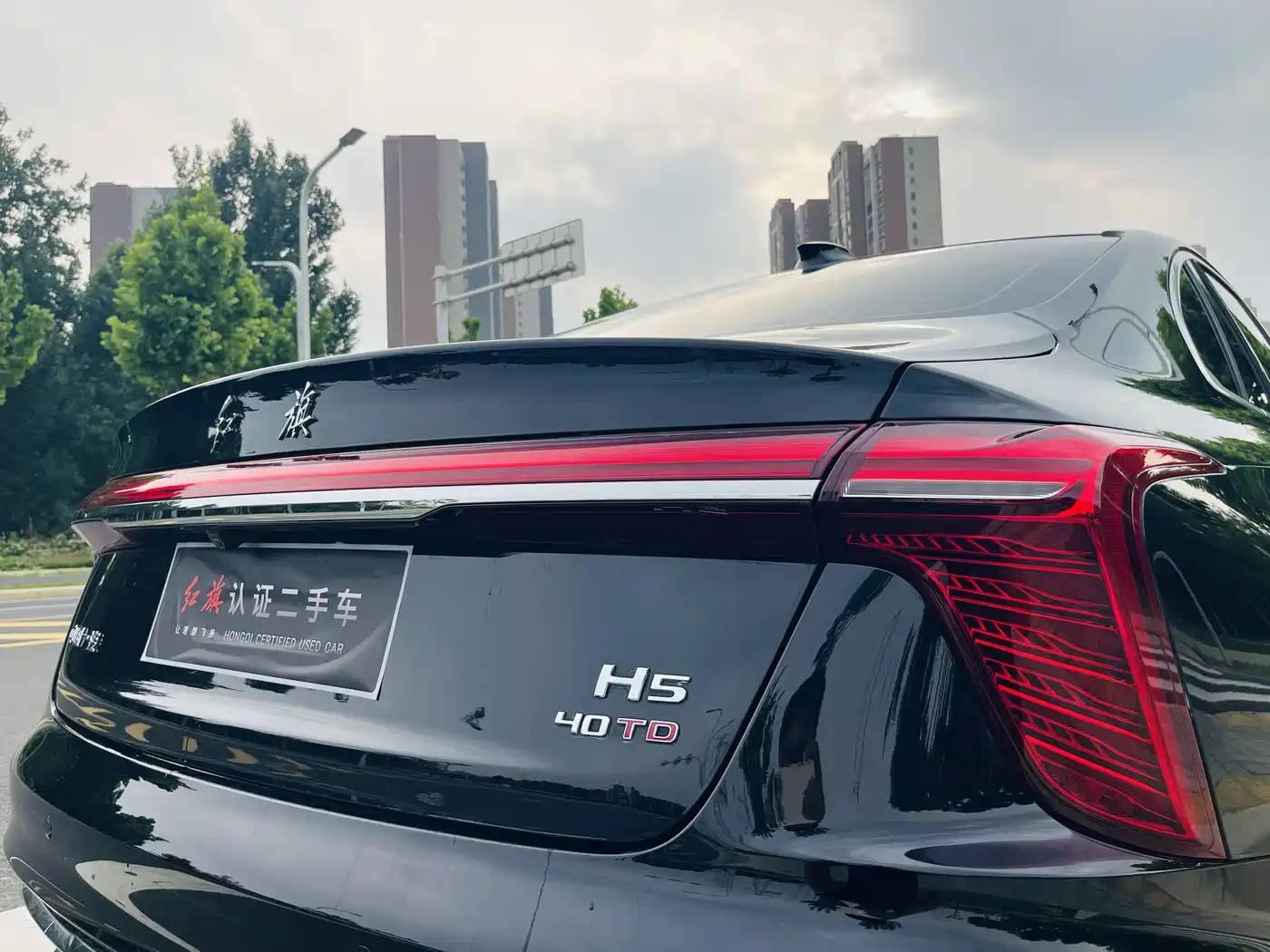 Hongqi H5 2024 2.0T Automatic Smart Connect Flag Smooth Edition фото 23