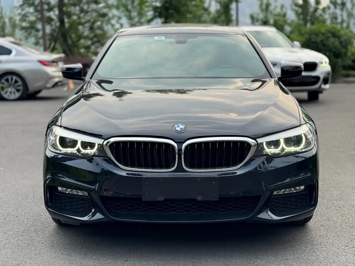 BMW 5 Series 2018 530Li Leading M Sport Package фото 2