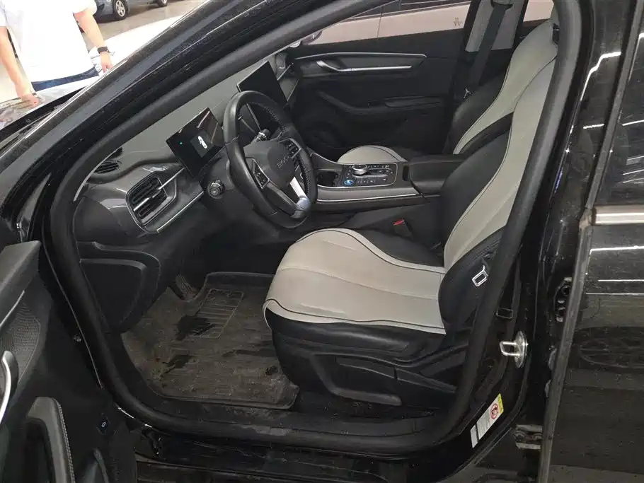 BYD Destroyer 05 2024 Glory Edition DM-i 55KM Luxury фото 9