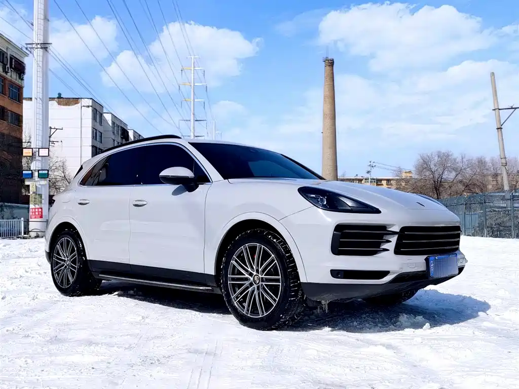 Porsche Cayenne 2019 Cayenne 3.0T фото 3