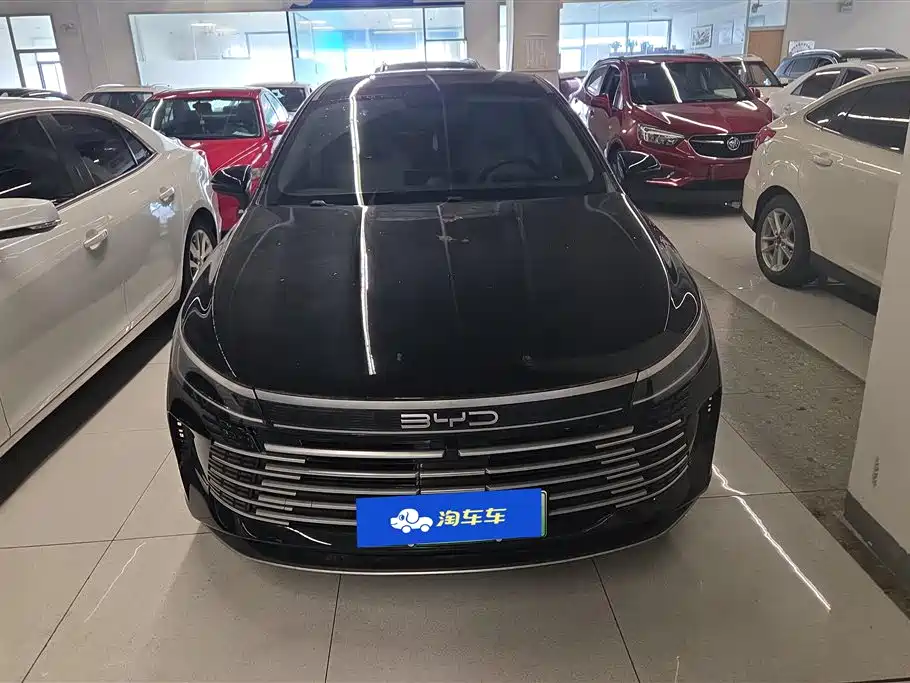 BYD Destroyer 05 2024 Glory Edition DM-i 55KM Luxury фото 2