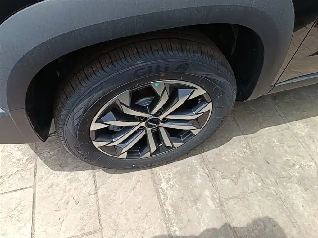 Haval Big Dog 2026 Model 1.5T High Configuration фото 23