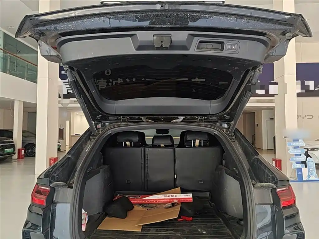 BYD Song PLUS PHEV 2024 Glory Edition DM-i 110km Flagship фото 19