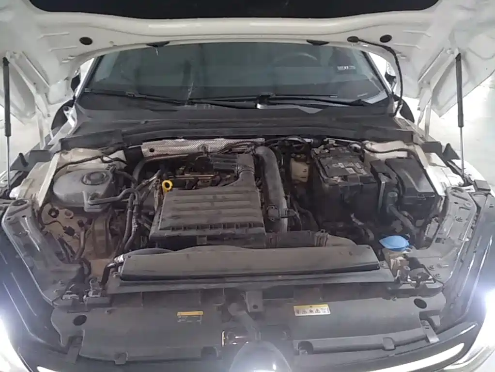 Volkswagen Lamando, миниатюра 20