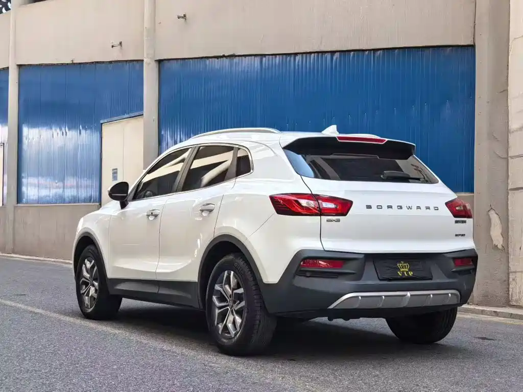 2021 Borgward BX5