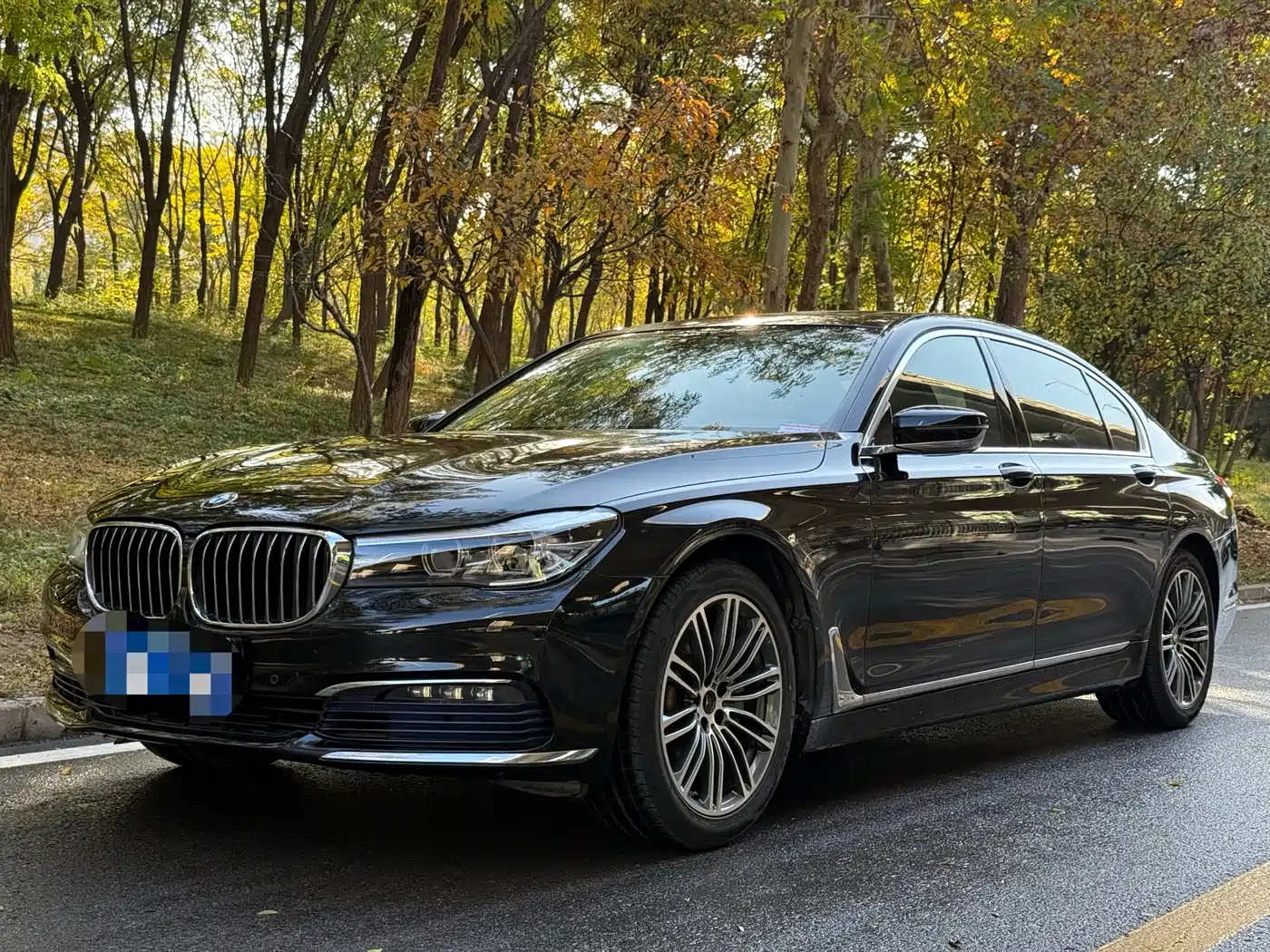 BMW 7 Series 2016 730Li Leading