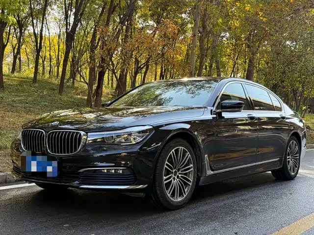  BMW BMW 7 Series 2016 730Li Leading