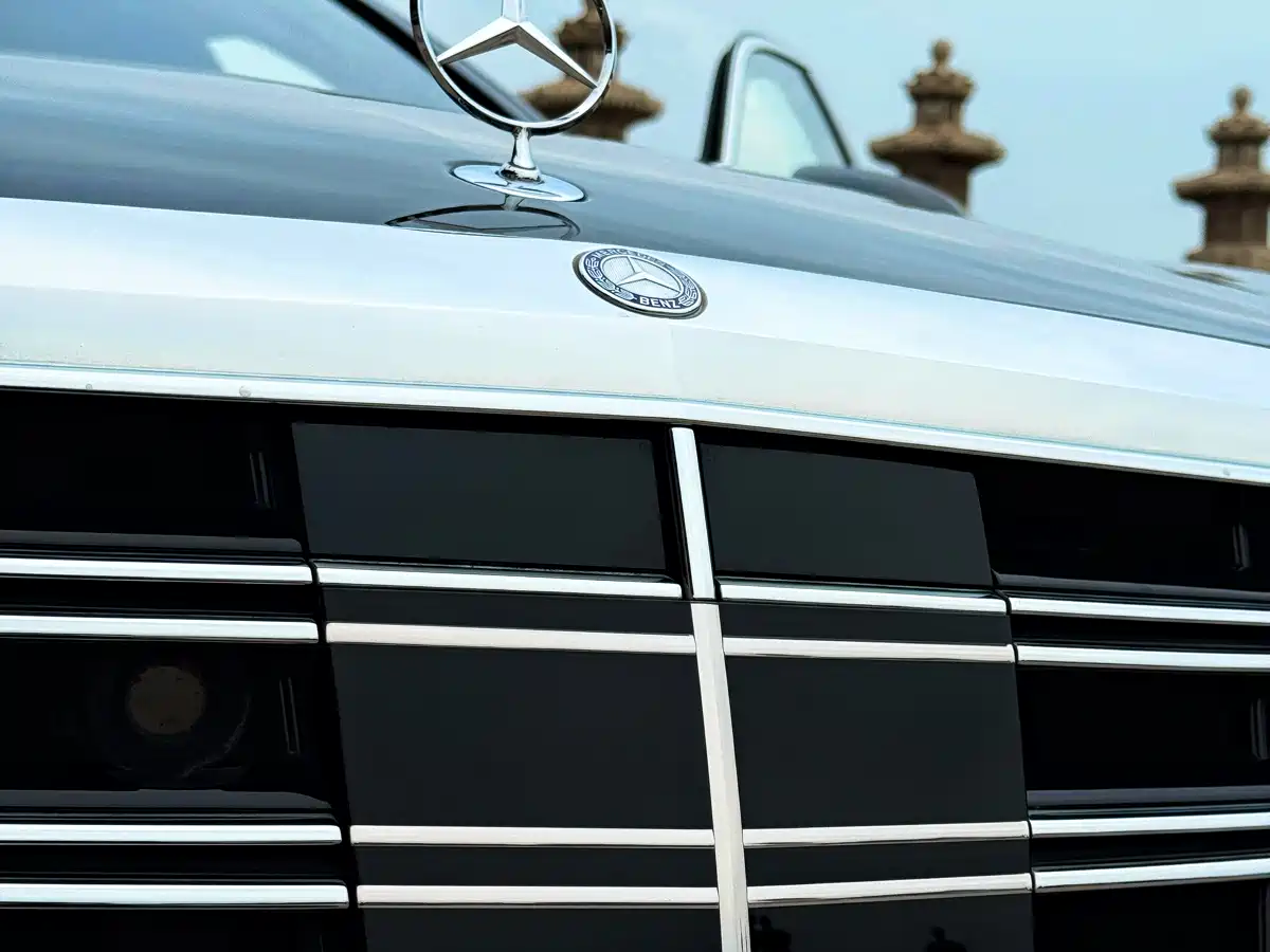 Mercedes-Benz S-Class 2014 S 600 L фото 13