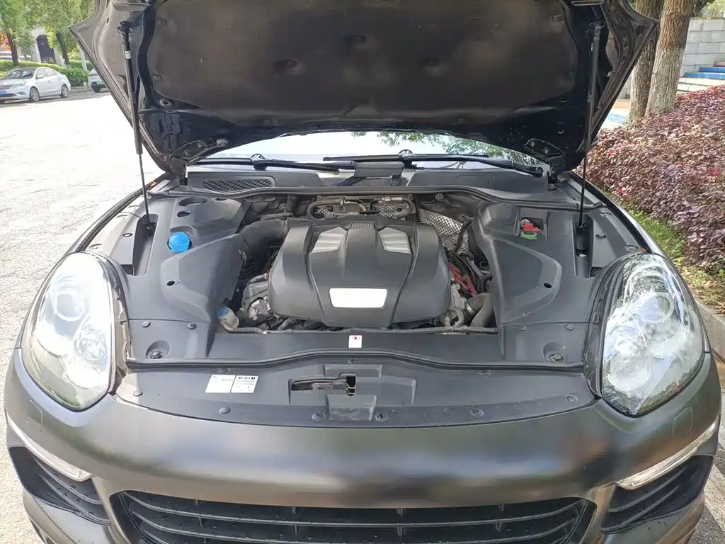 Porsche Cayenne 2016 Cayenne Platinum Edition 3.0T фото 11