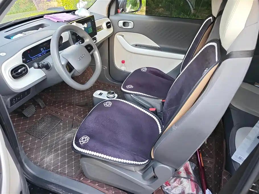 Geely Galaxy Panda 2025 Model Year 210km Panda Kart фото 9