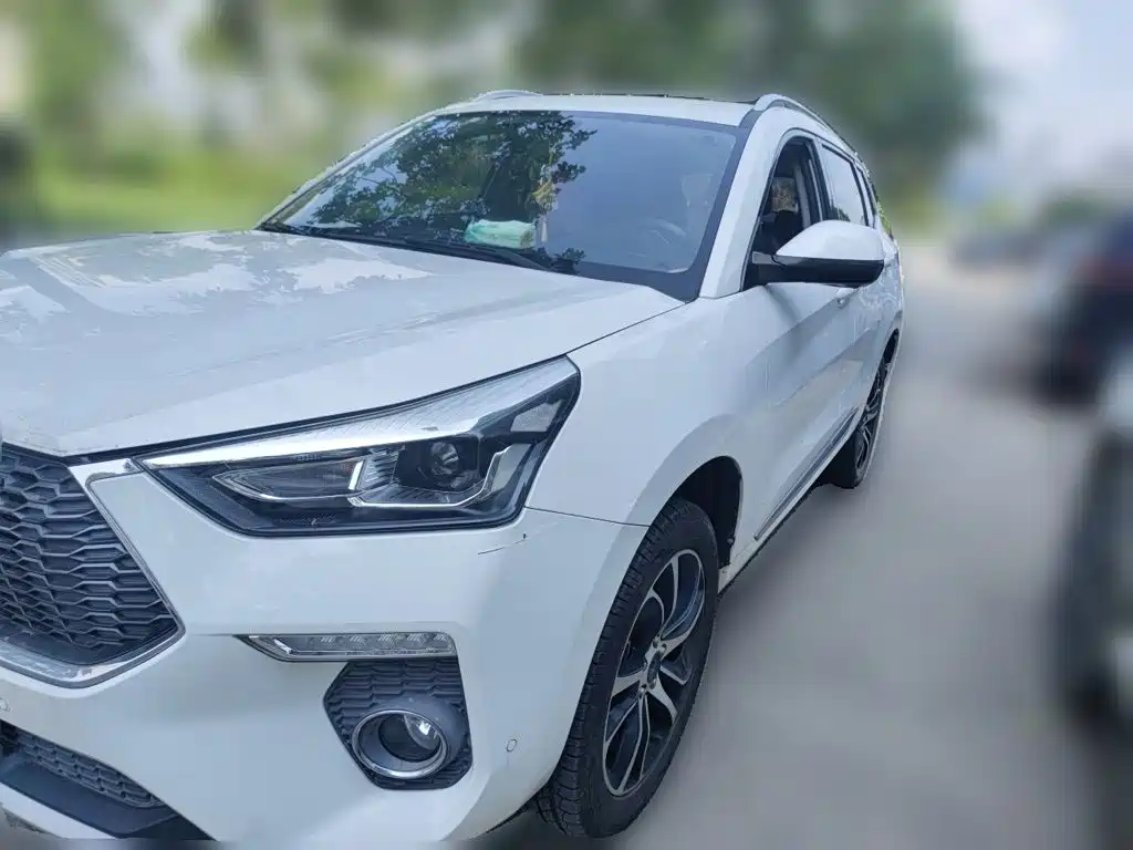 Haval H6 Coupe 2019 2018 Red Label 1.5T Auto 2WD Ultra Luxury