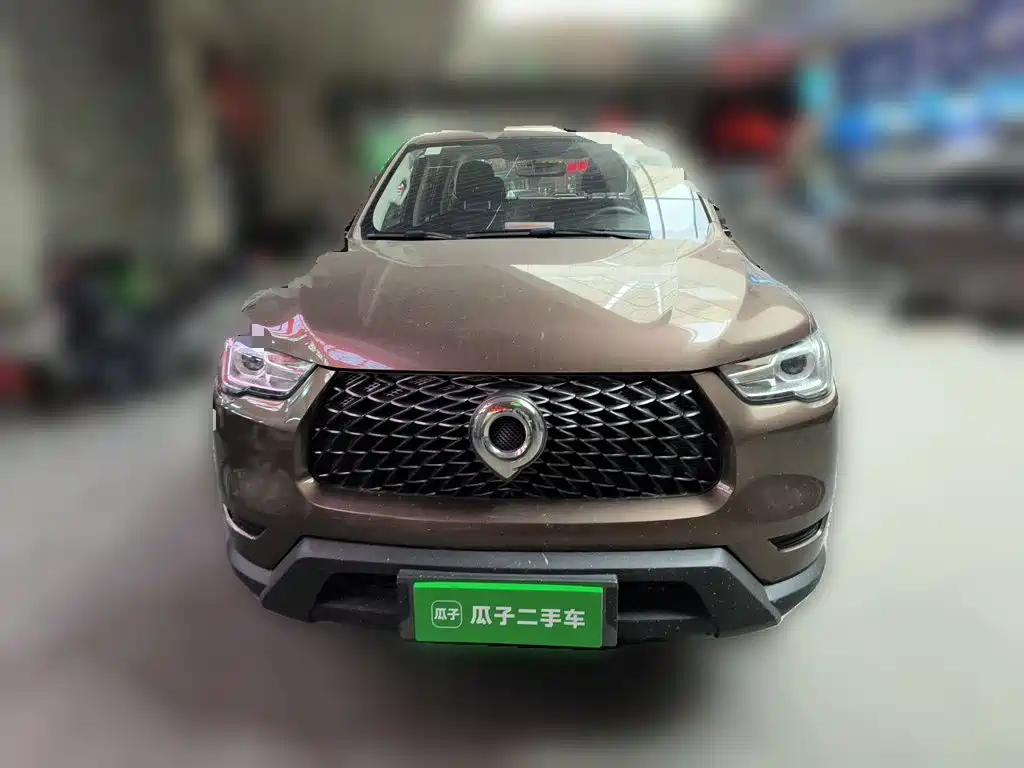  Great Wall Pao 2021 2.0T Commercial Edition Manual Gasoline 4WD Elite Long Box GW4C20B 24