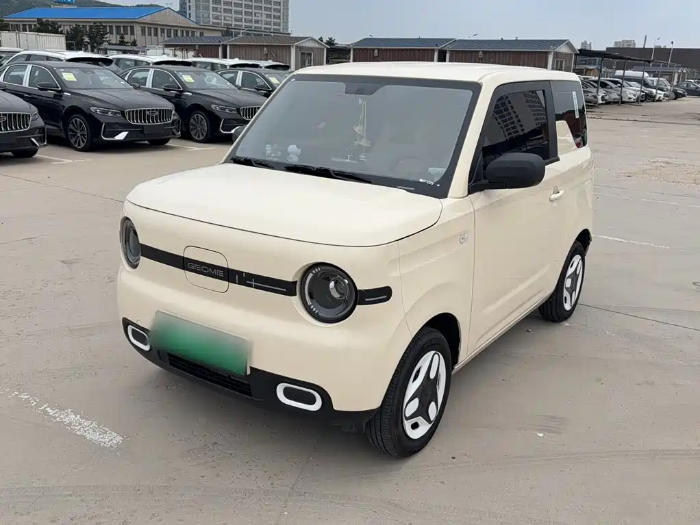 Geely Galaxy Panda 2025 Panda mini 210km Vitality Bear