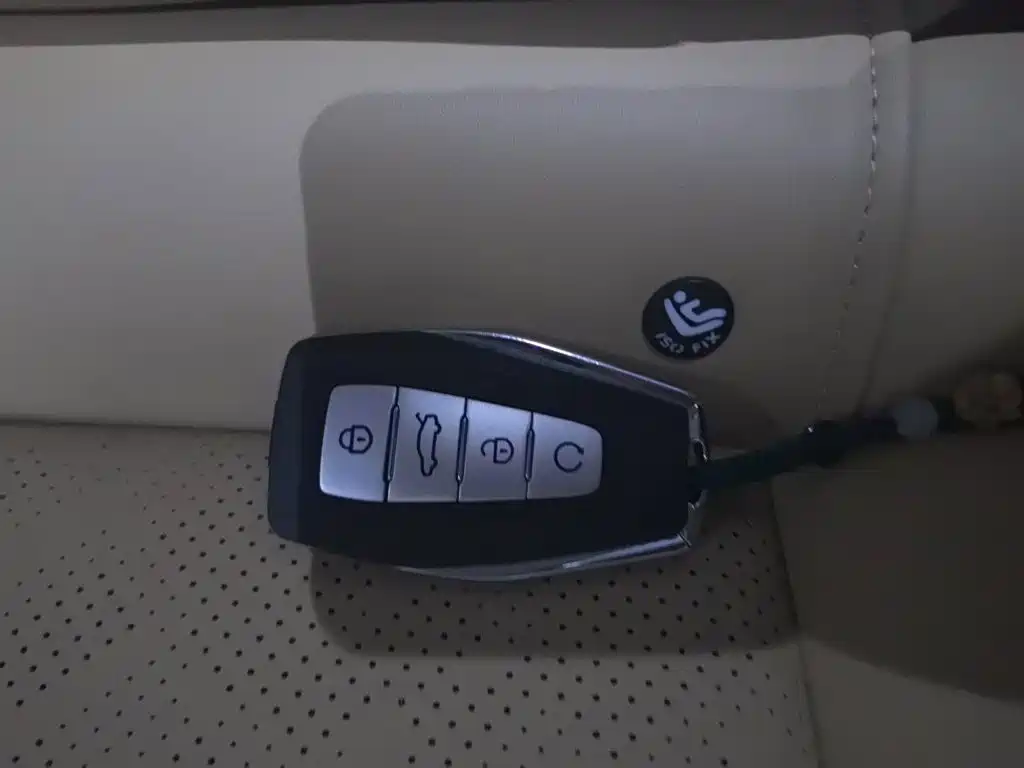 Geely Emgrand L HiP 2025 2024 Model Soaring Dragon Edition 1.5TD-DHT Pro 100KM Excellence Type