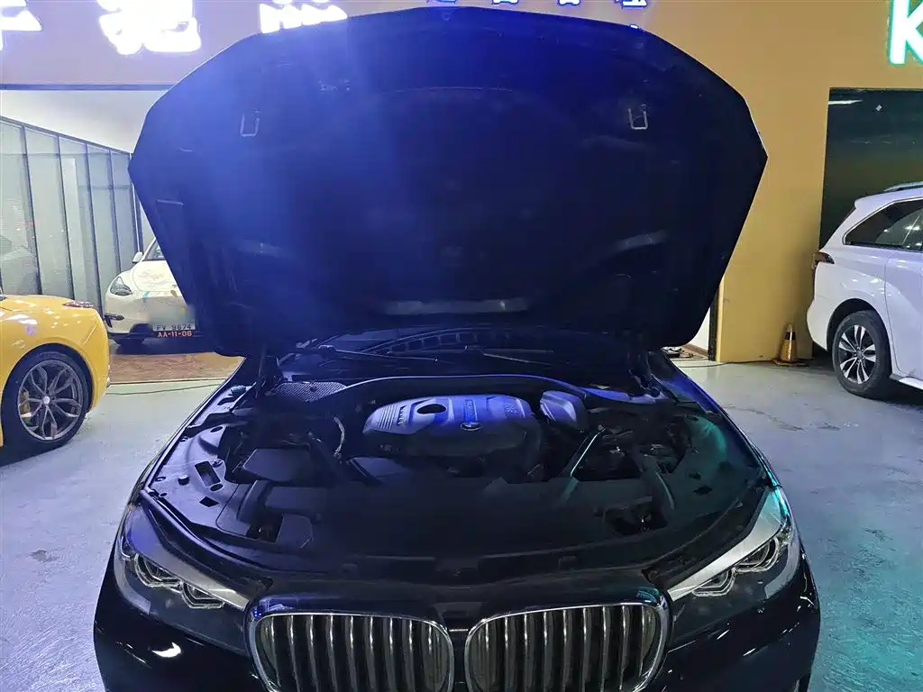 BMW 7 Series 2018 730Li Leading Type Excellence Package фото 11