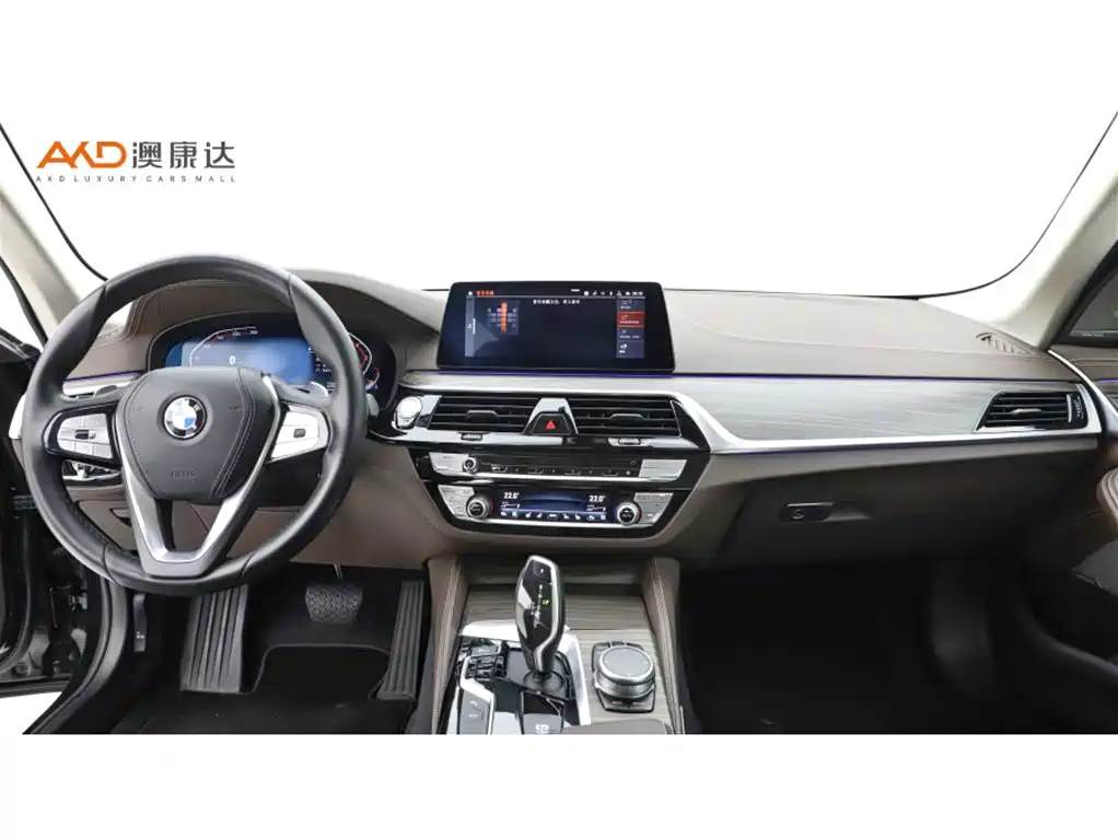 BMW 5 Series 2020 530Li Premium Luxury Package фото 5