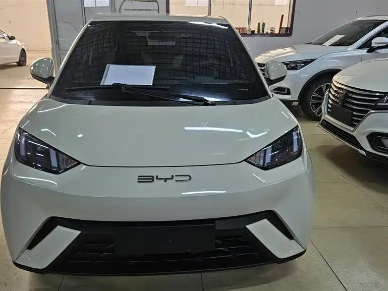 BYD Seagull 2023 Flying Edition фото 26