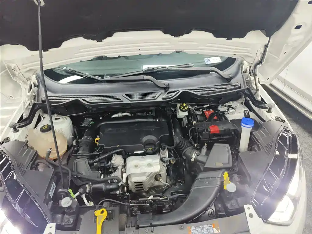 Ford EcoSport 2019 2018 EcoBoost125 Automatic Premium Wing