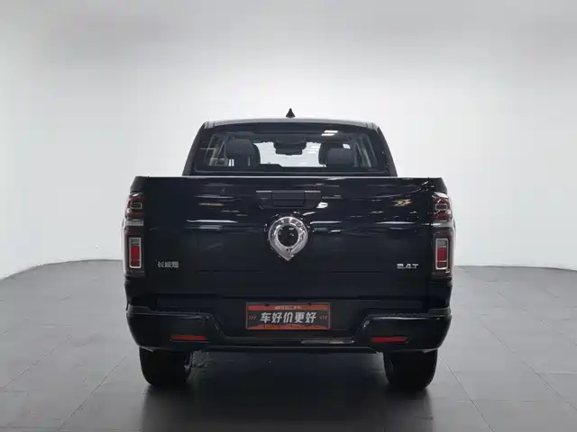 Great Wall Pao 2024 Model 2.4T Passenger Version Automatic Diesel 4WD Comfort Type — фото 4