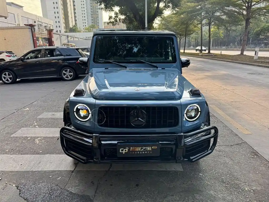 Mercedes-Benz G-Class 2011 2010 G 500