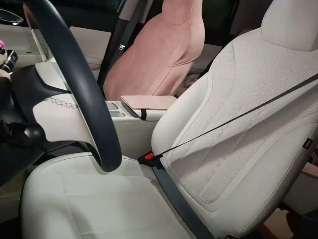 Geely Galaxy Starry Wish 2026 2026 Model 310km Dream Edition