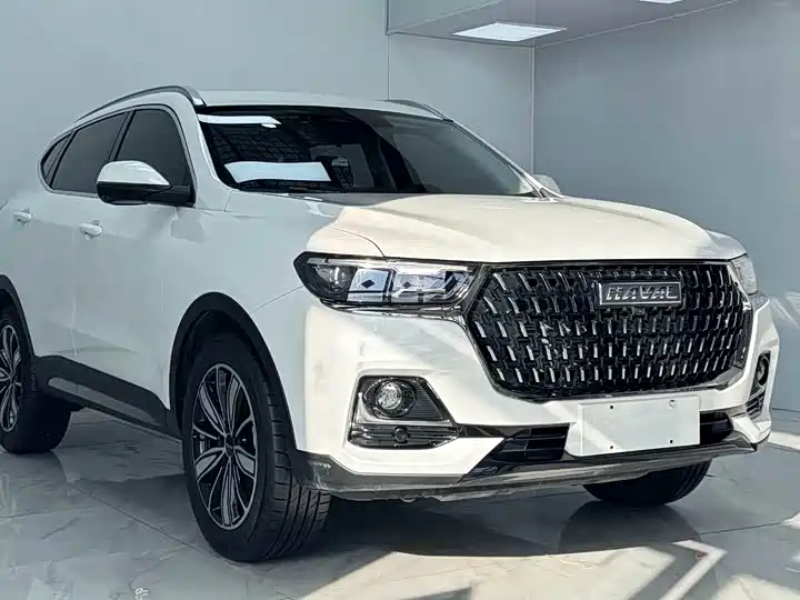 Haval H6 2023 National Trend Edition 1.5T Automatic Champion фото 3