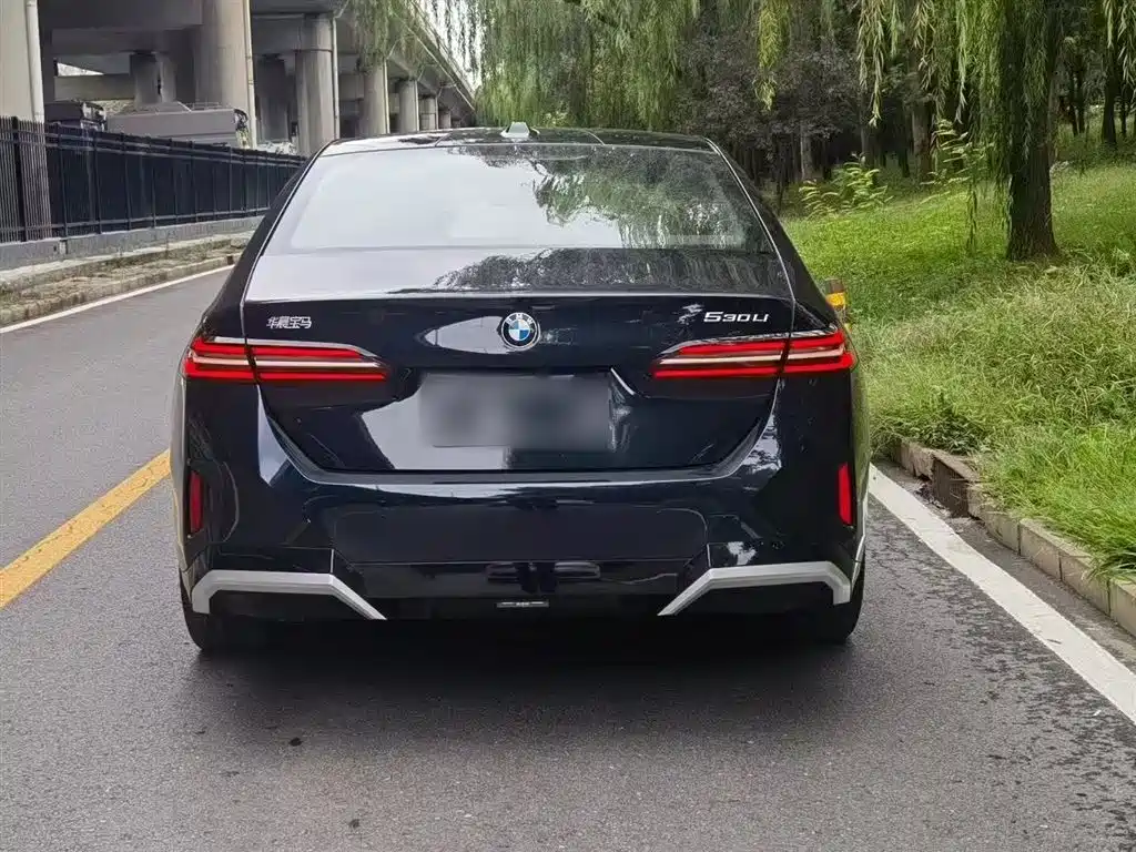 BMW 5 Series 2024 530Li Leading M Sport Package фото 28