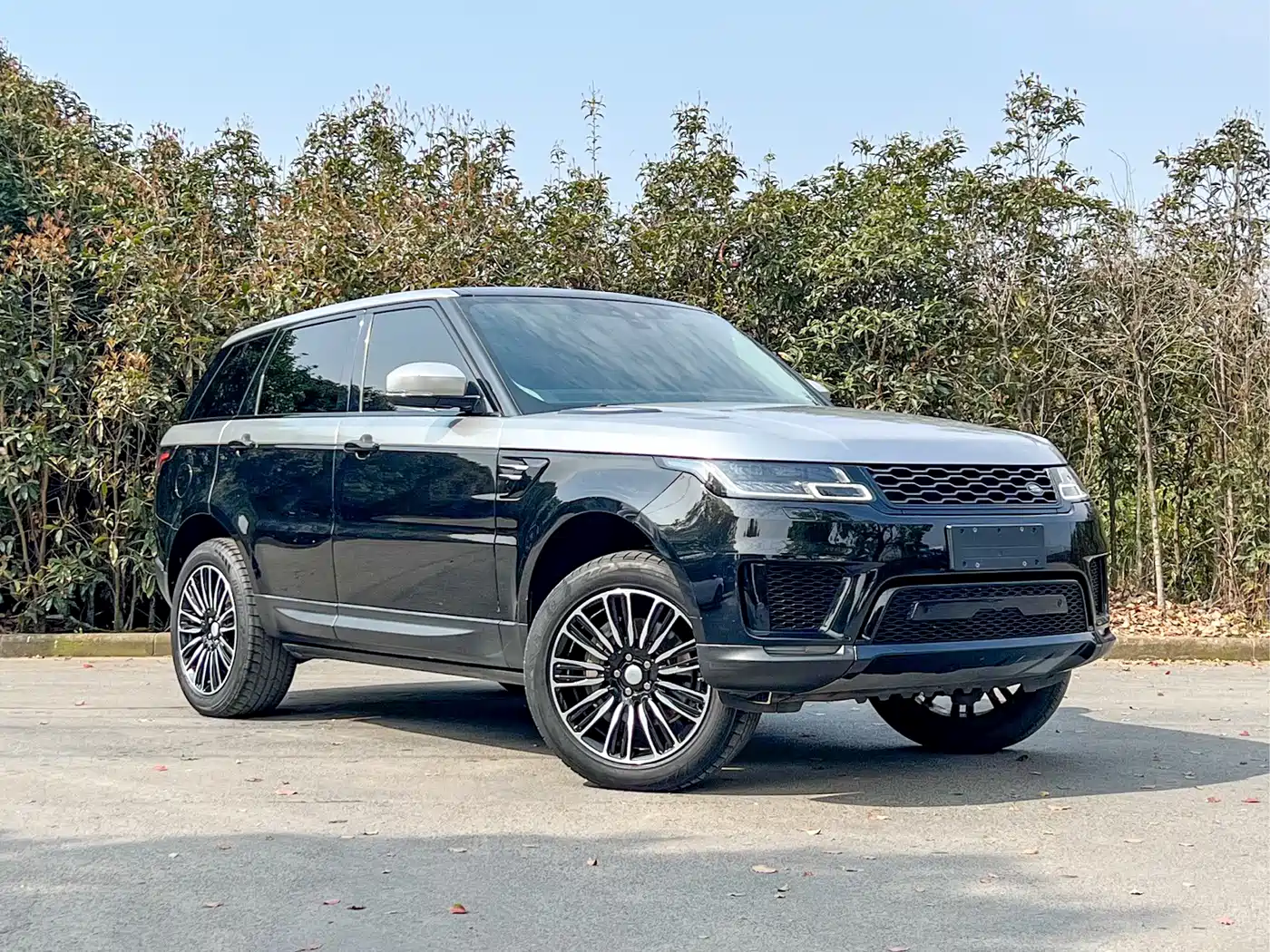 Land Rover Range Rover Sport 2020 3.0 L6 SE фото 3