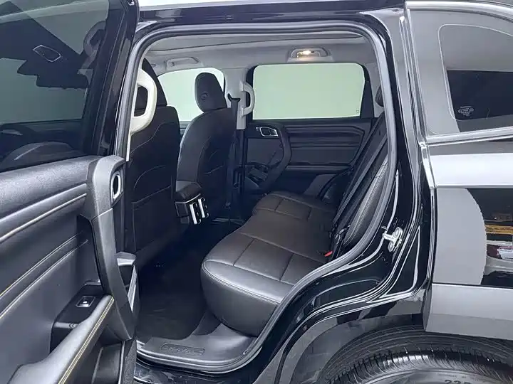 Haval Big Dog 2024 Model 1.5T DCT Labrador Edition фото 6