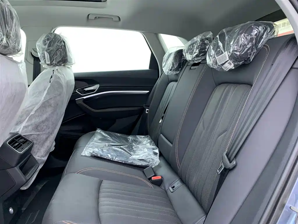 Audi e-tron 2021 50 quattro Luxury фото 12