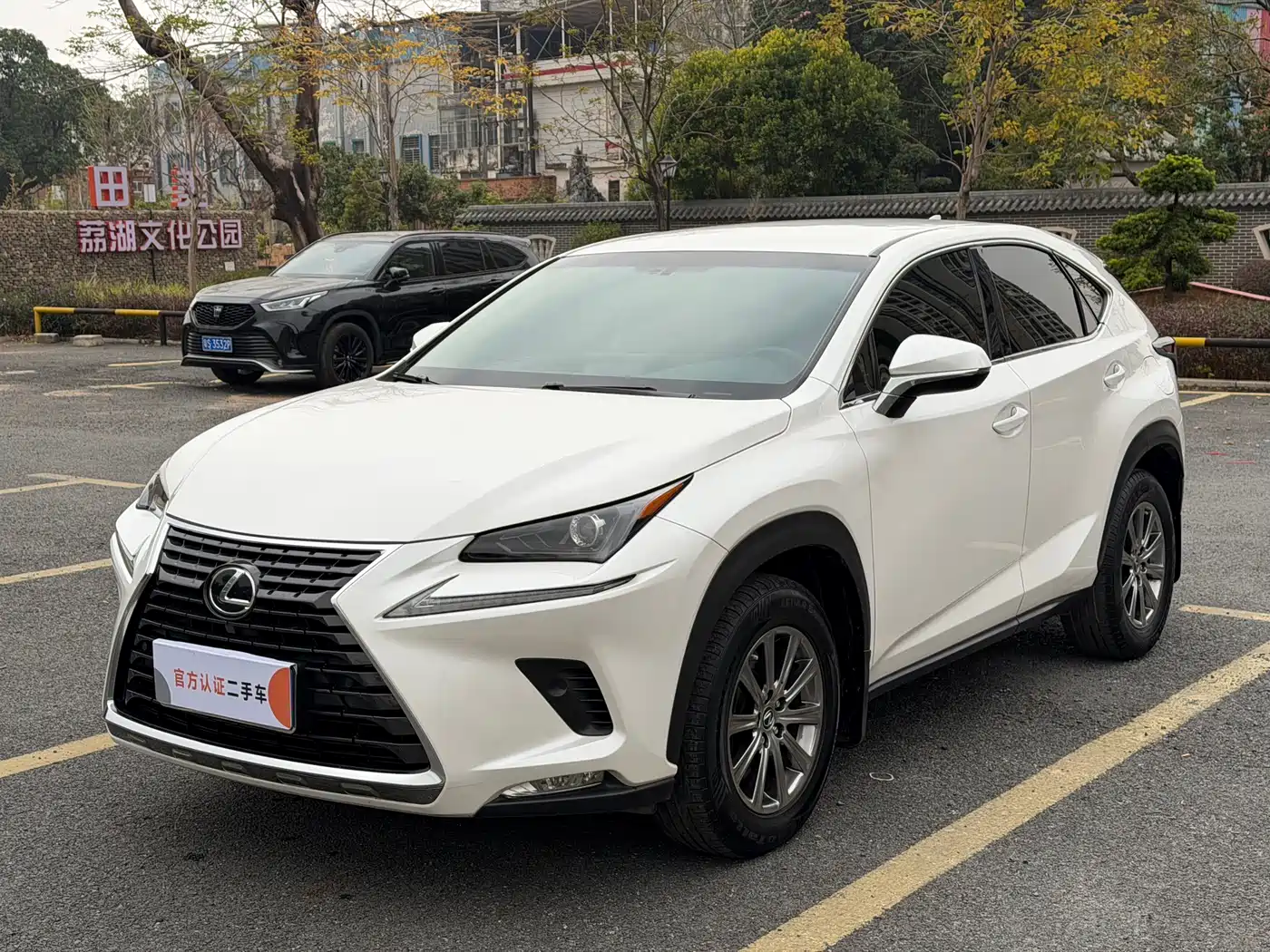 Lexus NX 2018 Model 300 FWD Fengxing Edition