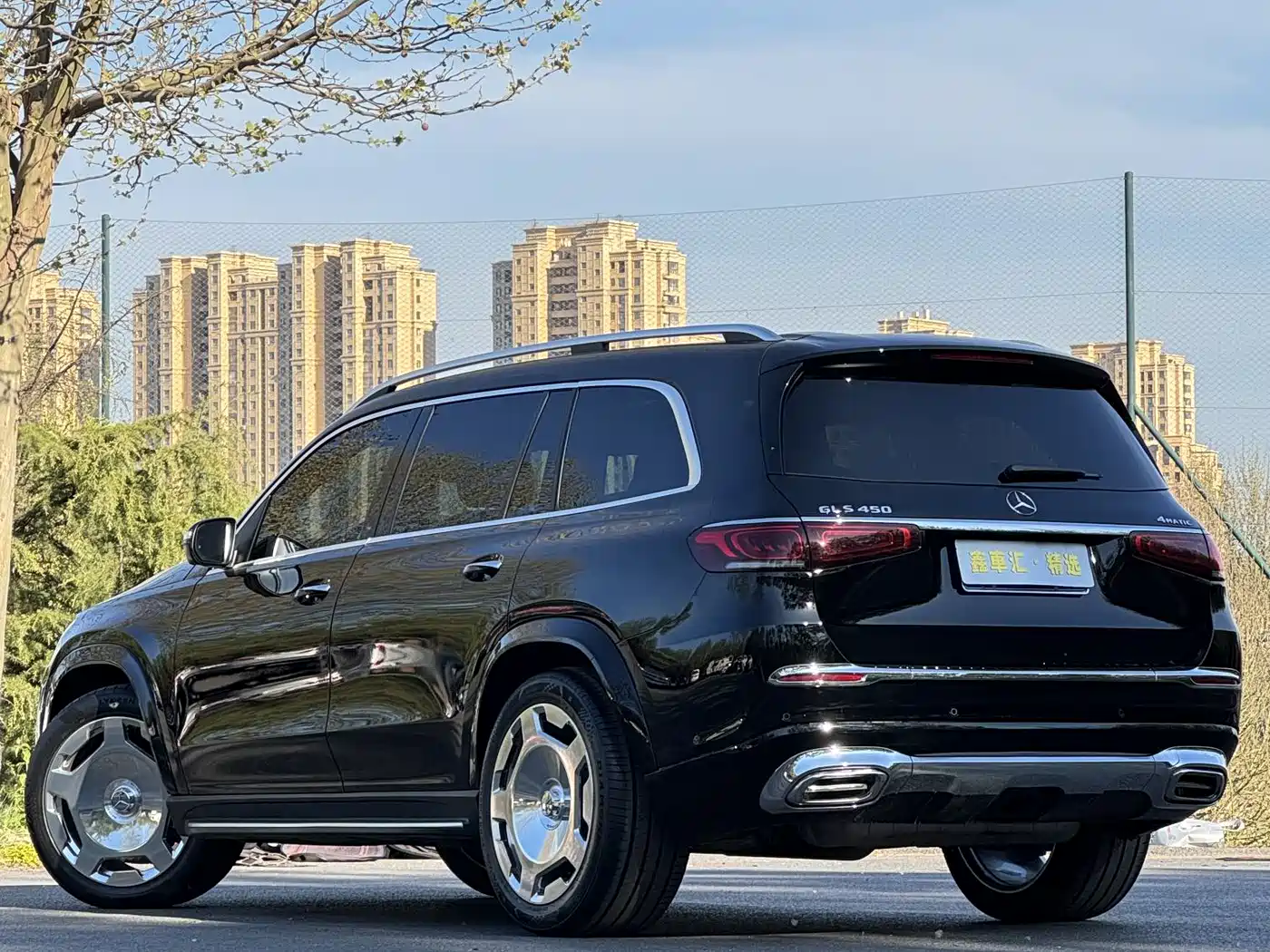 Mercedes-Benz GLS 2023 GLS 450 4MATIC Luxury Edition фото 9