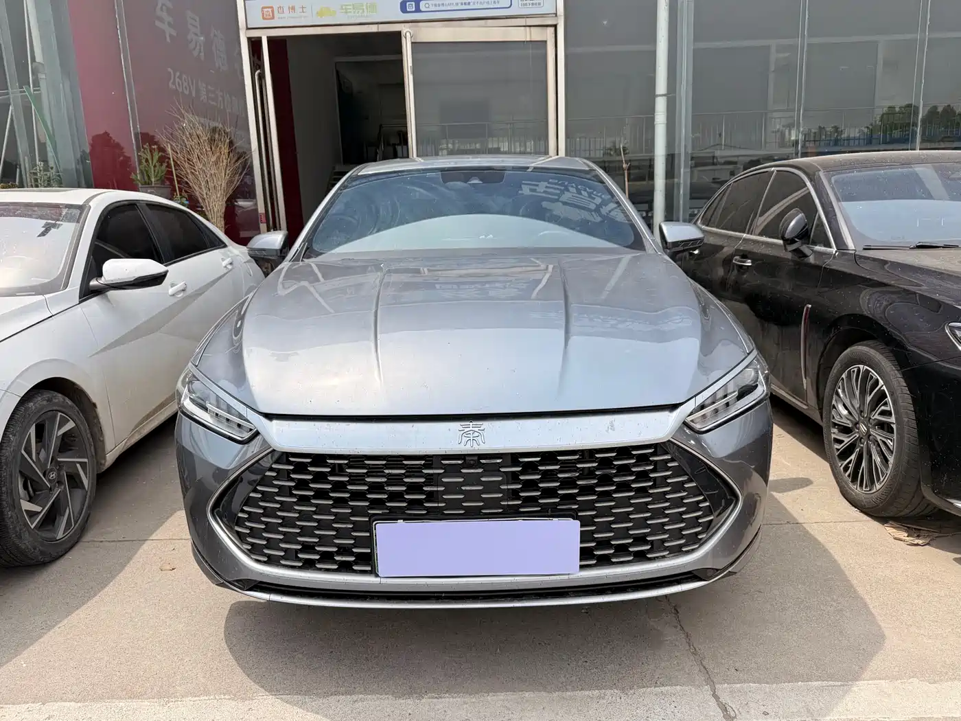 BYD Qin PLUS 2023 Champion Edition DM-i 120KM Surpassing Type фото 2