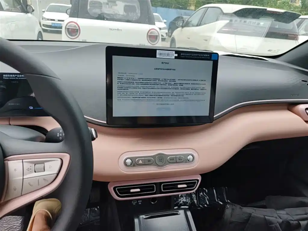 BYD Seagull 2025 Smart Drive Edition 305km Vitality Version фото 13