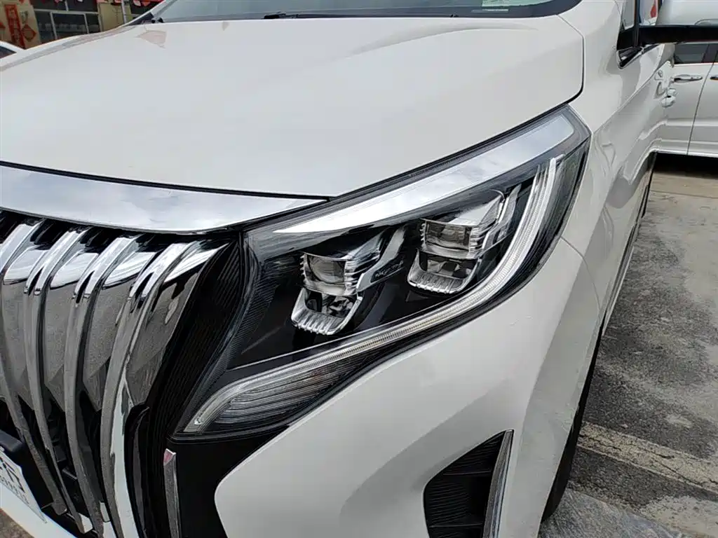 GAC Trumpchi Trumpchi M8 2023 Leading Series 390T Luxury Edition фото 24