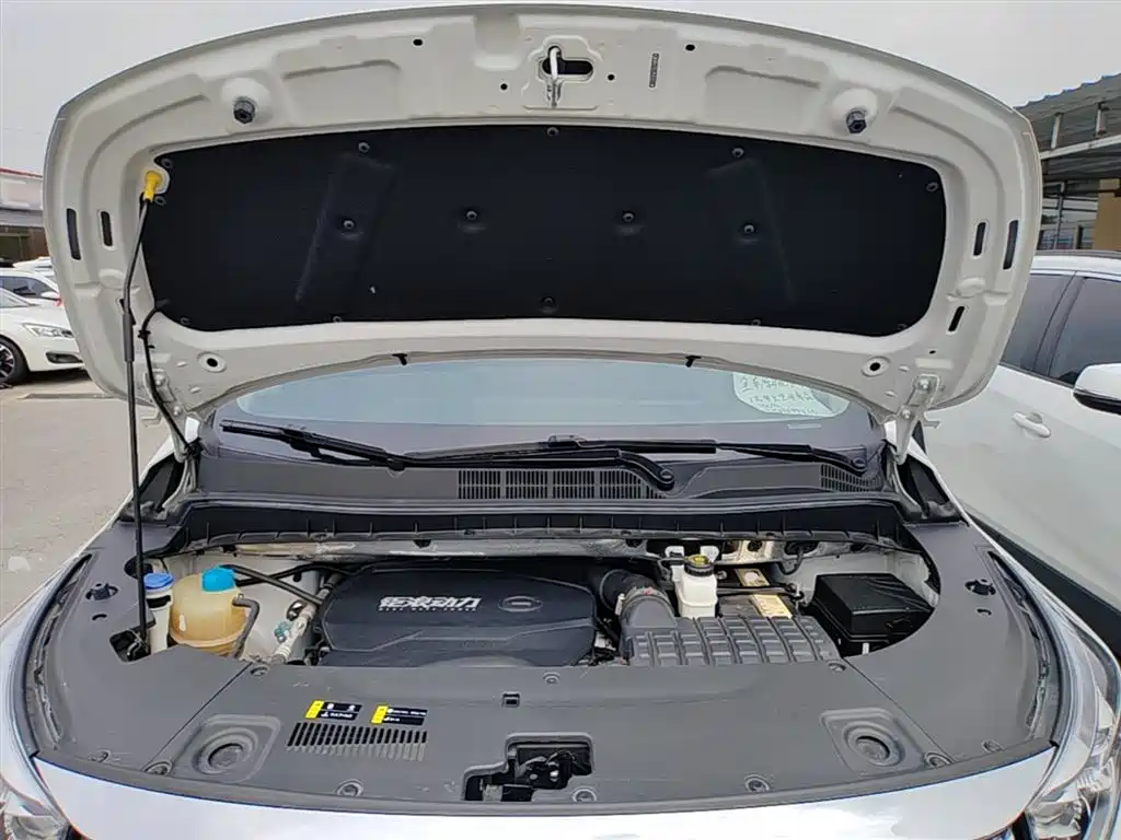GAC Trumpchi Trumpchi M8 2023 Leading Series 390T Luxury Edition фото 20