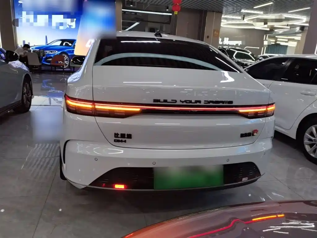 BYD Destroyer 05 2024 Glory Edition DM-i 55KM Luxury фото 6
